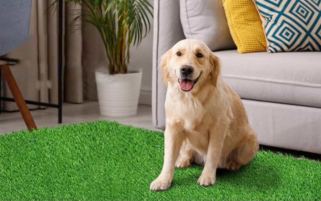 Artificial grass shop pads for dogs